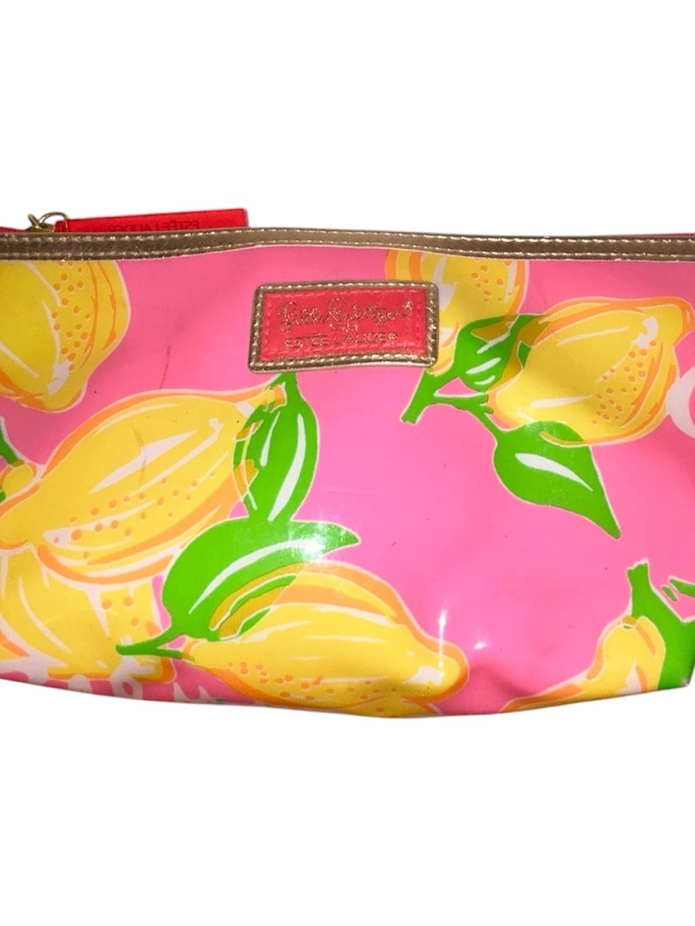 Lily Pulitzer Estée Lauder Bag